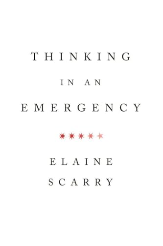 Thinking in an Emergency (Amnesty International Global Ethics Series, Band 0) von W. W. Norton & Company
